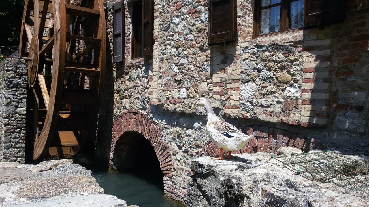 Agriturismo Il Mulino Delle Pile Сан-П'єтро-ін-Кар'яно Екстер'єр фото
