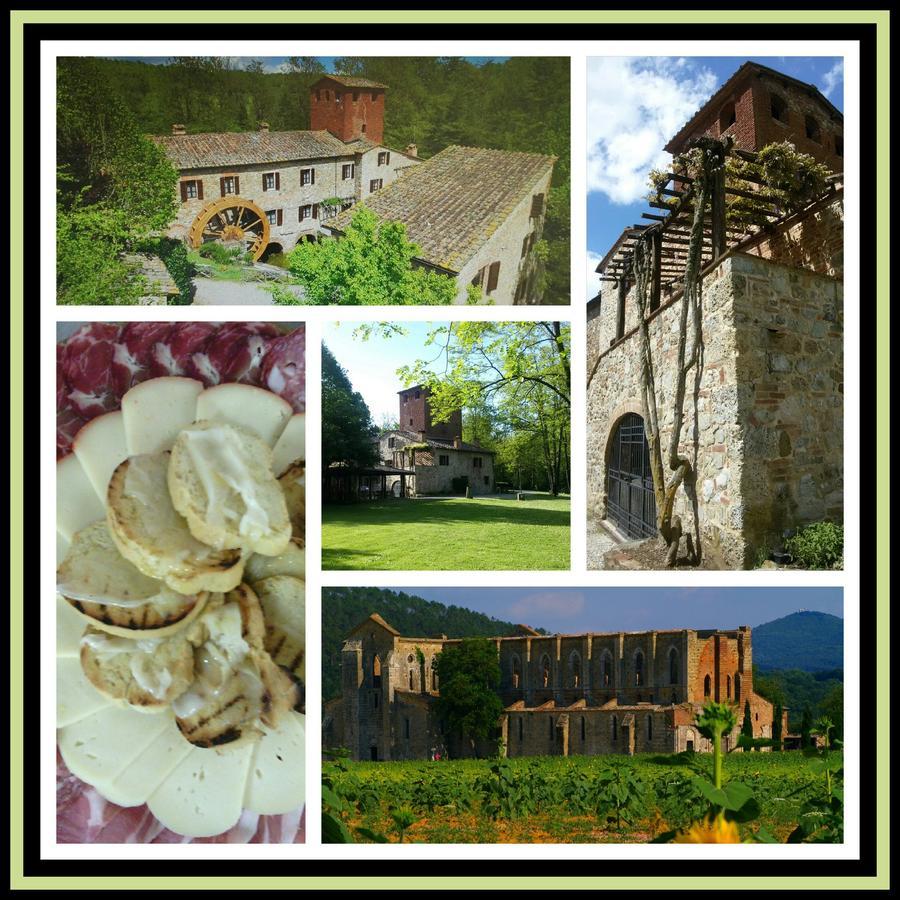 Agriturismo Il Mulino Delle Pile Сан-П'єтро-ін-Кар'яно Екстер'єр фото