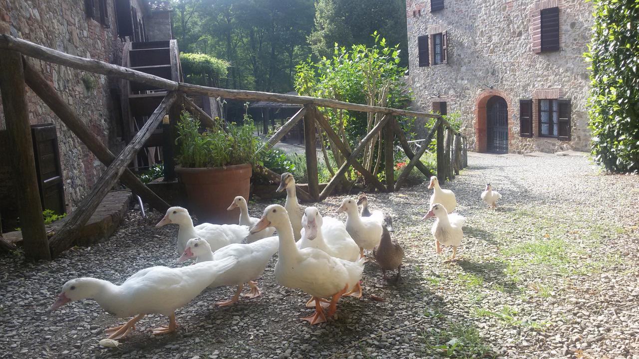 Agriturismo Il Mulino Delle Pile Сан-П'єтро-ін-Кар'яно Екстер'єр фото