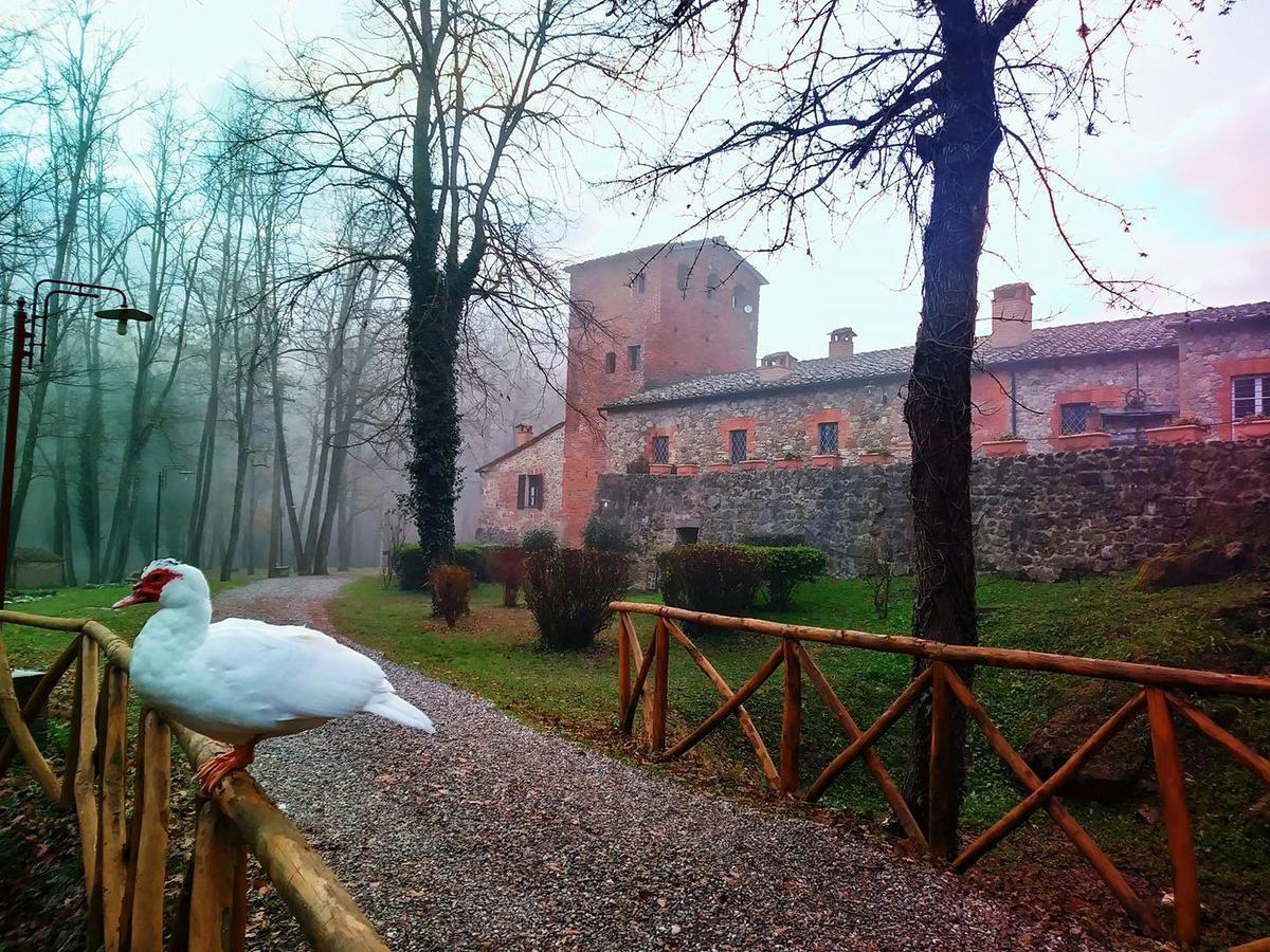 Agriturismo Il Mulino Delle Pile Сан-П'єтро-ін-Кар'яно Екстер'єр фото