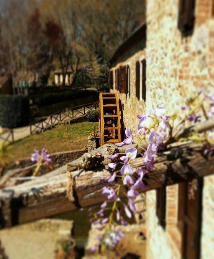 Agriturismo Il Mulino Delle Pile Сан-П'єтро-ін-Кар'яно Екстер'єр фото