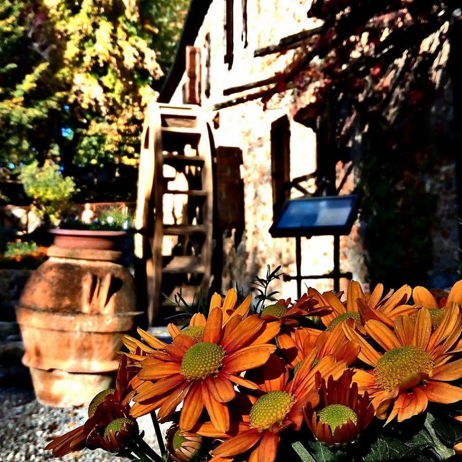 Agriturismo Il Mulino Delle Pile Сан-П'єтро-ін-Кар'яно Екстер'єр фото