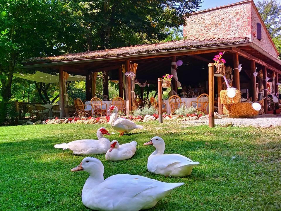 Agriturismo Il Mulino Delle Pile Сан-П'єтро-ін-Кар'яно Екстер'єр фото