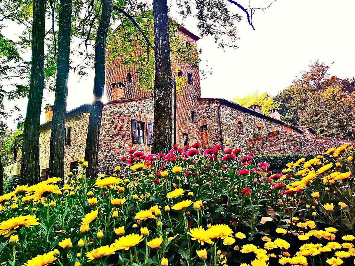 Agriturismo Il Mulino Delle Pile Сан-П'єтро-ін-Кар'яно Екстер'єр фото