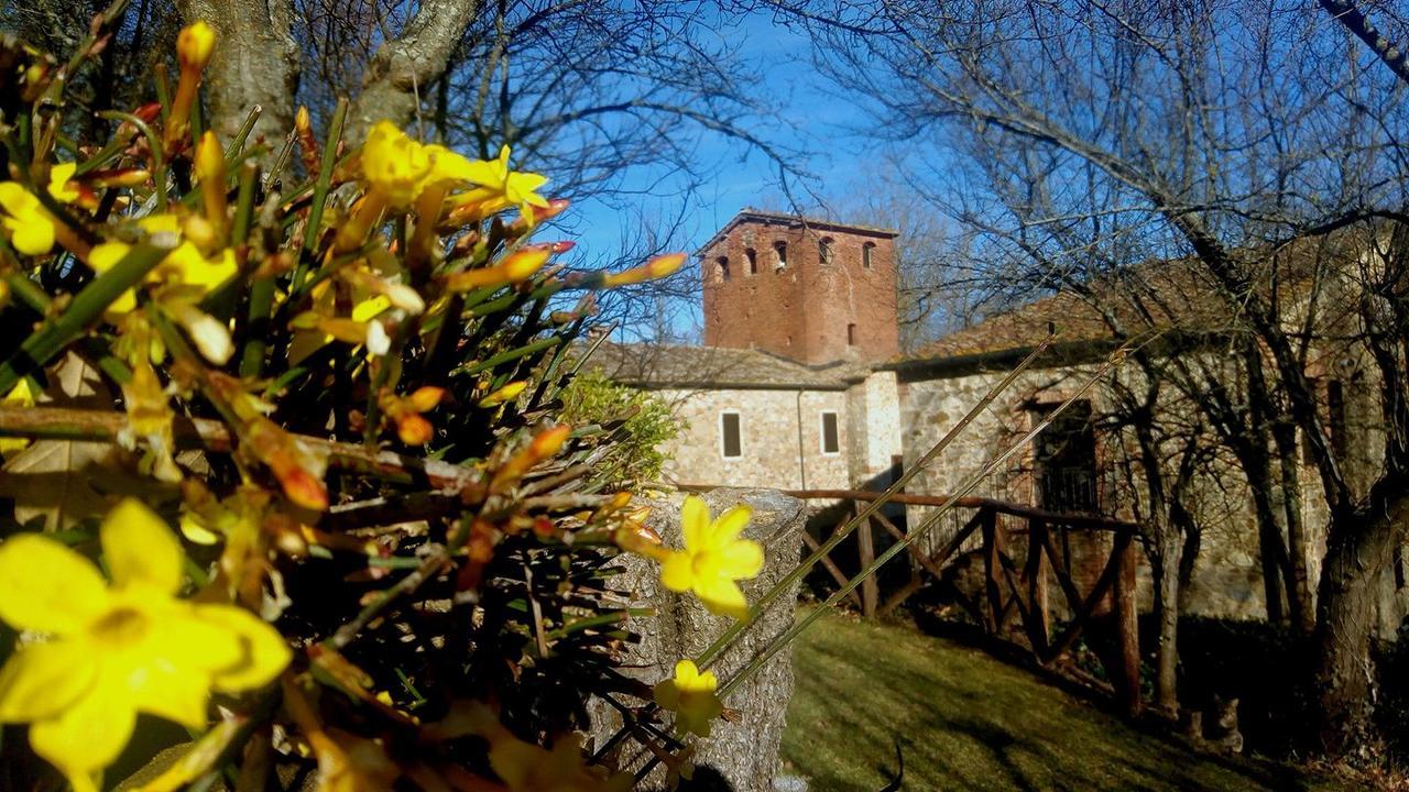 Agriturismo Il Mulino Delle Pile Сан-П'єтро-ін-Кар'яно Екстер'єр фото