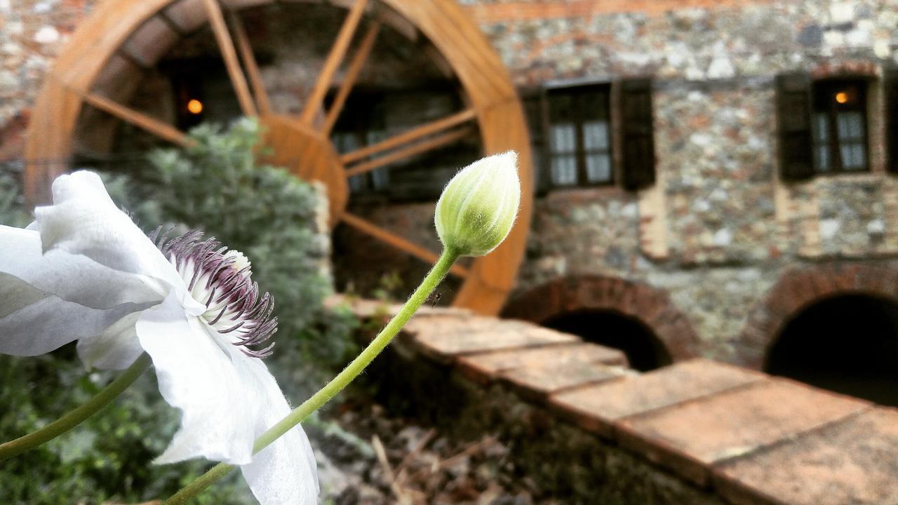 Agriturismo Il Mulino Delle Pile Сан-П'єтро-ін-Кар'яно Екстер'єр фото